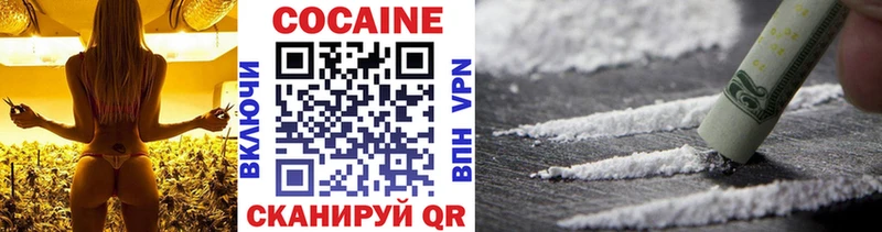 COCAIN Fish Scale  blacksprut вход  Сунжа 