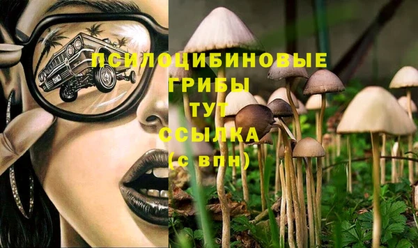 молекула духа Костерёво