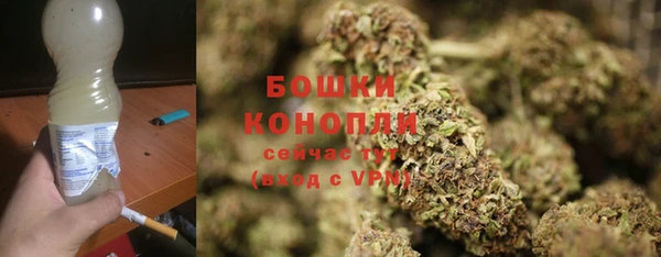 сатива Краснотурьинск
