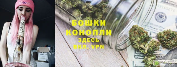 ешки Корсаков