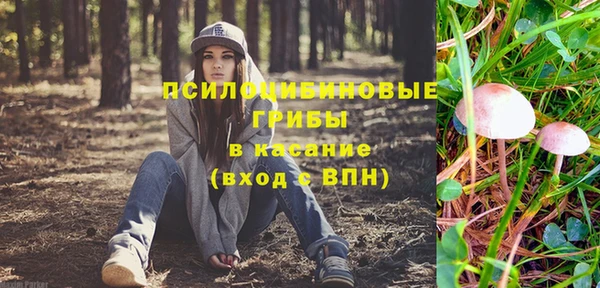 стаф Лабытнанги