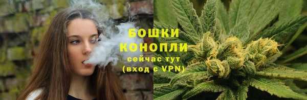 стаф Лабытнанги