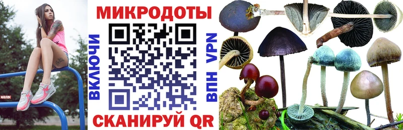 darknet официальный сайт  Сунжа  Галлюциногенные грибы Cubensis  цены наркотик 