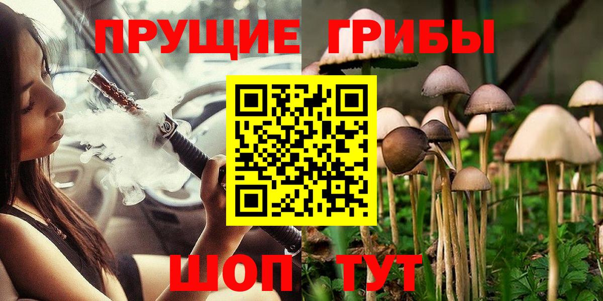 Сунжа  Псилоцибиновые грибы Psilocybe  Галлюциногенные грибы GOLDEN TEACHER  Вход с VPN 