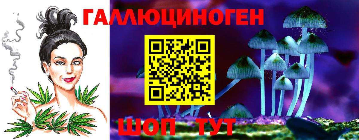 Псилоцибиновые грибы мицелий Сунжа