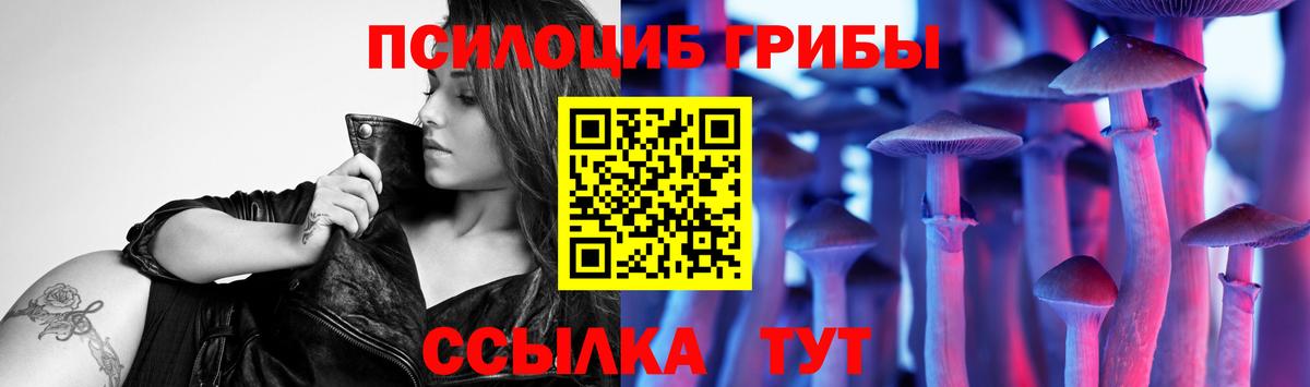 Псилоцибиновые грибы MAGIC MUSHROOMS  Сунжа  Псилоцибиновые грибы прущие грибы 
