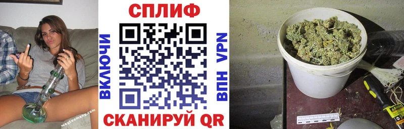 где найти   Сунжа  Шишки марихуана сатива 