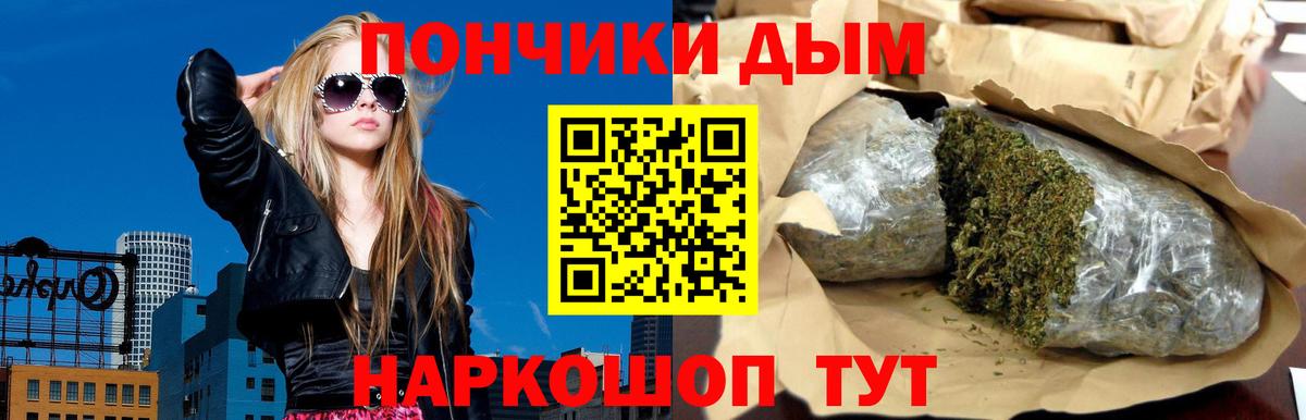 Канабис SATIVA & INDICA Сунжа